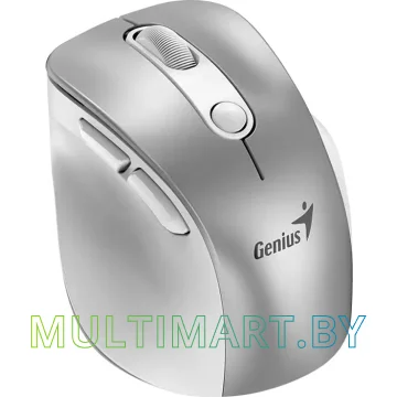 Мышь Genius Ergo 9000S Pro (серебристый) картинка 2